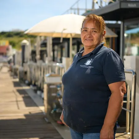 Tekne The Homeboat Company Albufeira
